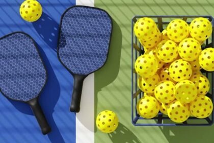 best pickleball paddles for beginners